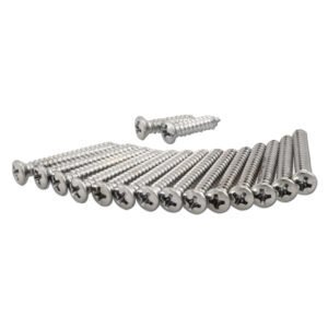 1947-54 Door Moulding Screws
