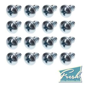 1947 - 1959 Chevrolet / GMC Truck Door Seal Retainer Screws - Zinc
