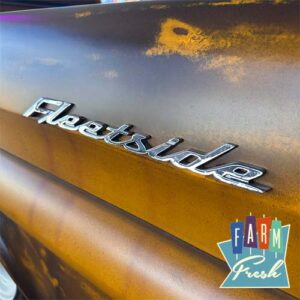 1955 - 1959 Chevrolet / GMC Truck Fleetside Emblem